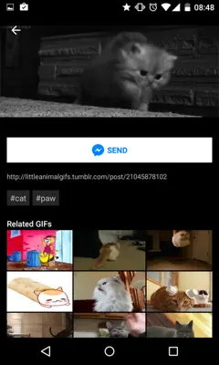 GIPHY - Animated GIFs Search Engine android App screenshot 4